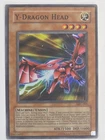 Y-Dragon Head