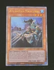 Atlantean Dragoons