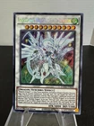 White Night Dragon