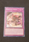 Dominus Purge