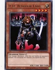 D.D. Warrior Lady