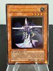 Mystic Swordsman LV4