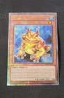 Swap Frog