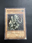 Mammoth Graveyard