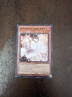 Ash Blossom & Joyous Spring