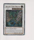 Ancient Fairy Dragon