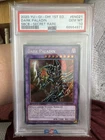 Dark Paladin
