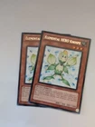 Elemental HERO Knospe