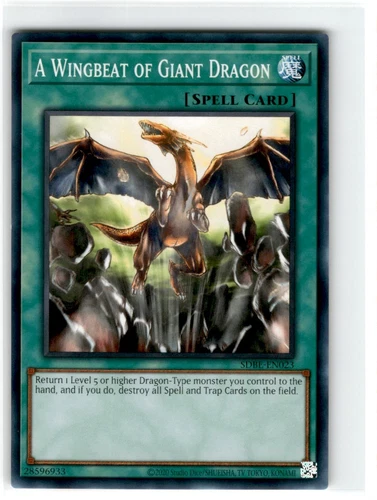 A Wingbeat of Giant Dragon