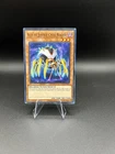 Ally of Justice Cycle Reader