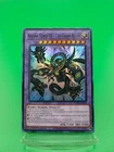 Arcana Force EX - The Chaos Ruler