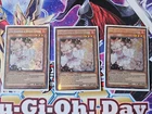 Ash Blossom & Joyous Spring