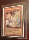 Ash Blossom & Joyous Spring