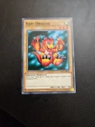 Baby Dragon