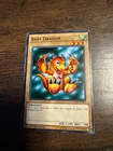 Baby Dragon