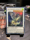 Baxia, Brightness of the Yang Zing