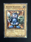 Beaver Warrior