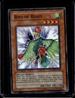 Bird of Roses