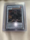 Black Brutdrago
