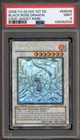 Black Rose Dragon