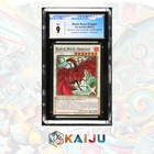Black Rose Dragon