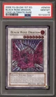 Black Rose Dragon