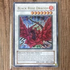 Black Rose Dragon