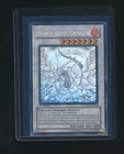 Black Rose Dragon