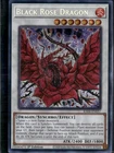 Black Rose Dragon