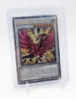 Black Rose Moonlight Dragon