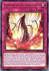 Blooming of the Darkest Rose