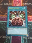 Brain Control