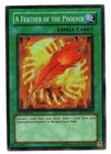 A Feather of the Phoenix