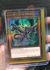 Coral Dragon