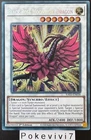 Black Rose Moonlight Dragon