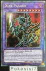 Dark Paladin
