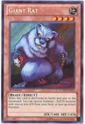 Giant Rat