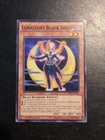 Lunalight Black Sheep