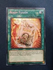 Scatter Fusion