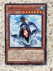 Neo-Spacian Aqua Dolphin