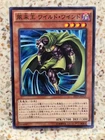 Wandering King Wildwind