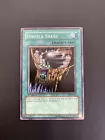 Double Snare