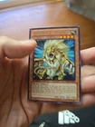 Heraldic Beast Leo