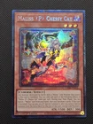 Maliss Chessy Cat