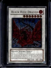 Black Rose Dragon