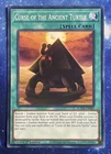 Curse of the Ancient Turtle