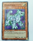 Cyber Kirin