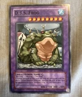 D.3.S. Frog