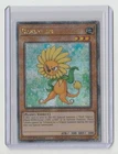 Dandylion