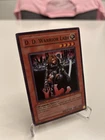 D.D. Warrior Lady